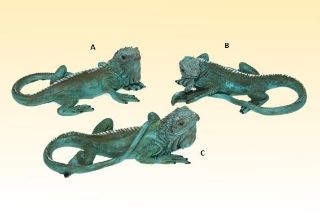 Obrázek z Ještěr polyres. 13cm, 3druhy(3) 